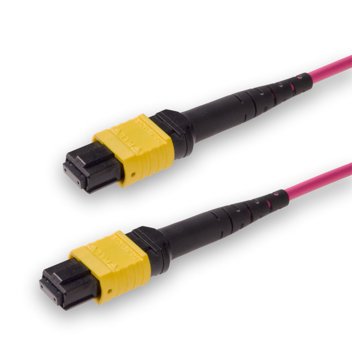 8芯低插損母頭 MPO/APC 轉母頭 MPO/APC 跳線 | 康寧® ClearCurve® OM4 多模光纖 | 極性B,黃色 MPO-12 接頭,洋紅色外被 | LSZH 低煙無鹵外被