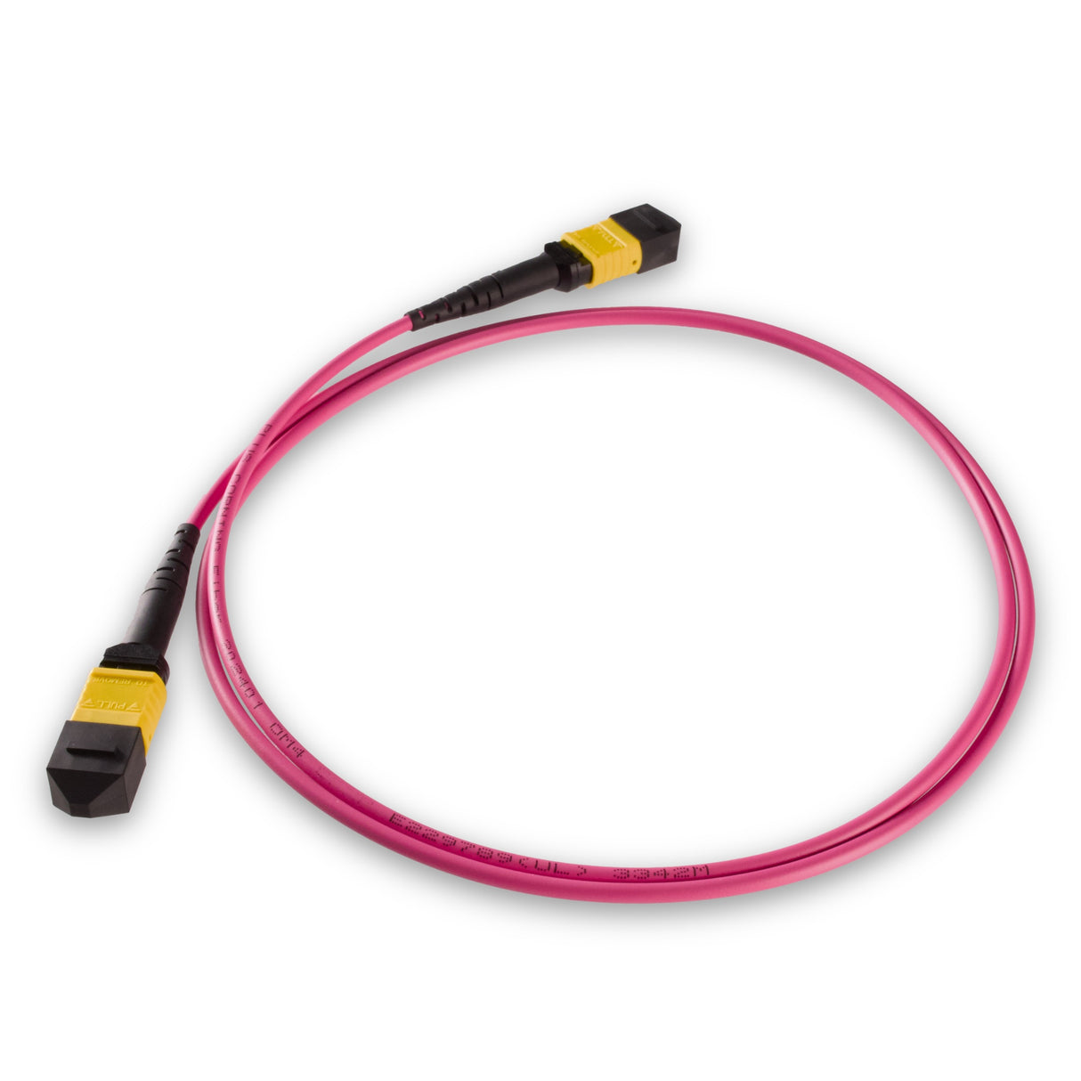 8芯低插損母頭 MPO/APC 轉母頭 MPO/APC 跳線 | 康寧® ClearCurve® OM4 多模光纖 | 極性B,黃色 MPO-12 接頭,洋紅色外被 | LSZH 低煙無鹵外被