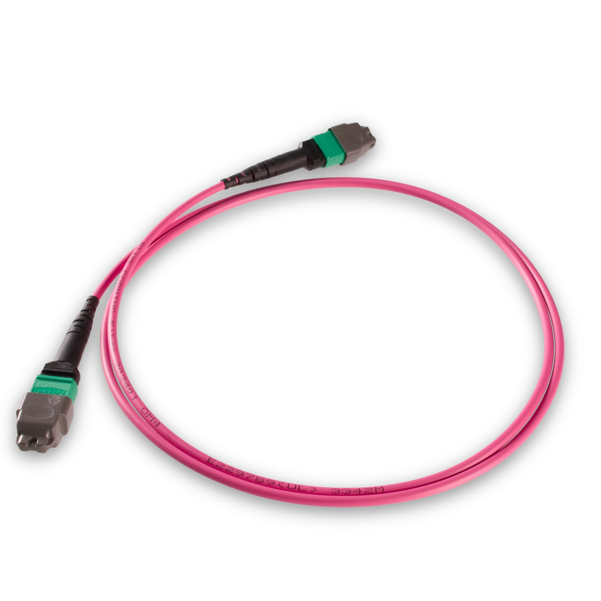 8 芯 Elite 母頭 MTP®/APC 轉母頭 MTP®/APC 跳線 | 康寧® ClearCurve® OM4 多模光纖 | 極性B,綠色 MTP®-12 接頭,洋紅色外被 | OFNR 外被