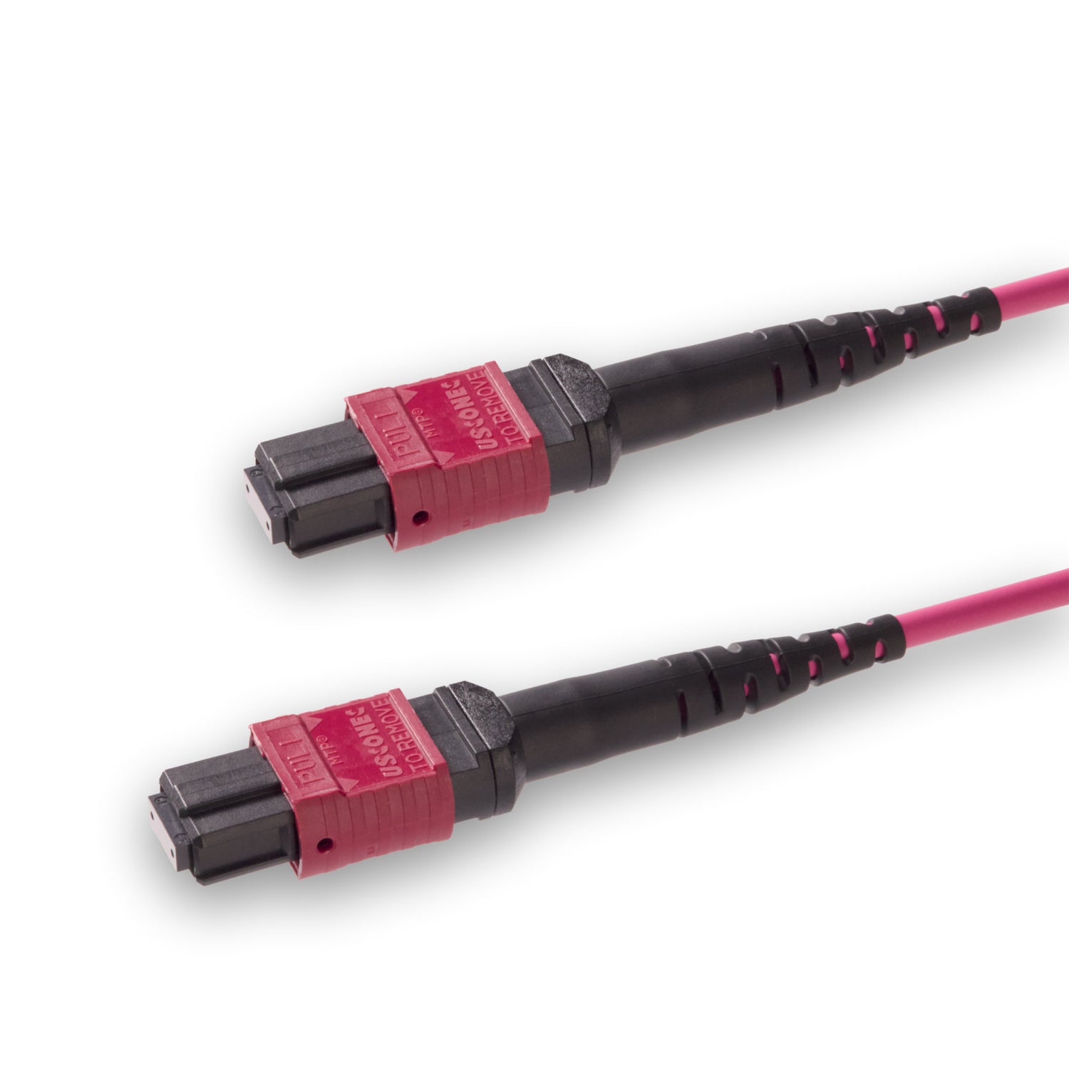 8 芯 Elite 母頭 MTP®/UPC 轉母頭 MTP®/UPC 跳線 | 康寧® ClearCurve® OM4 多模光纖 | 極性B,洋紅色 MTP®-12 接頭,洋紅色外被 | LSZH 低煙無鹵外被