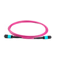 12-Fiber Elite Non-Pinned MPO APC to MPO APC Jumper with Corning® ClearCurve® OM4 Multimode Fiber, Type B polarity, Aqua MPO connectors, and Magenta jacket, optimized for 40GBASE-SR4 and 100GBASE-SR4 multimode parallel optics in high-density data centers.