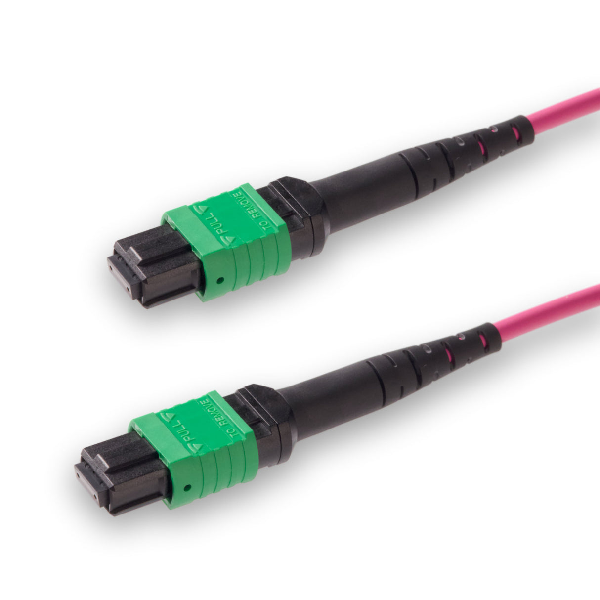 8 芯低插損母頭 MPO/APC 轉母頭 MPO/APC 跳線 | 康寧® ClearCurve® OM4 多模光纖 | 極性B，綠色 MPO-12 接頭，洋紅色外被 | LSZH 低煙無鹵外被