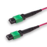 8 芯低插損母頭 MPO/APC 轉母頭 MPO/APC 跳線 | 康寧® ClearCurve® OM4 多模光纖 | 極性B，綠色 MPO-12 接頭，洋紅色外被 | LSZH 低煙無鹵外被