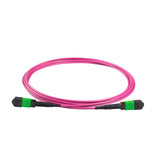 8 芯低插損母頭 MPO/APC 轉母頭 MPO/APC 跳線 | 康寧® ClearCurve® OM4 多模光纖 | 極性B，綠色 MPO-12 接頭，洋紅色外被 | LSZH 低煙無鹵外被