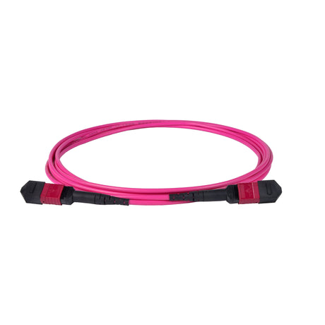 12-Fiber Elite Non-Pinned MPO APC to MPO APC Jumper with Corning® ClearCurve® OM4 Multimode Fiber, Type B polarity, Magenta MPO connectors, and Magenta jacket, optimized for 40GBASE-SR4 and 100GBASE-SR4 multimode parallel optics in high-density data centers.