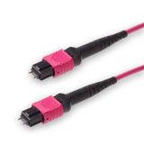 12 芯低插損公頭 MPO/UPC 轉公頭 MPO/UPC 跳線 | 康寧® ClearCurve® OM4 多模光纖 | 極性A，洋紅色 MPO 接頭，洋紅色外被 | LSZH 低煙無鹵外被