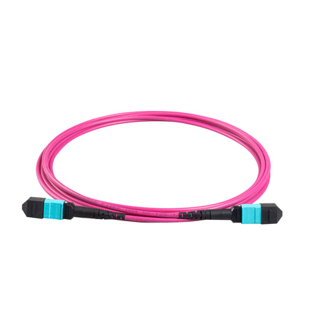 12-Fiber Elite Non-Pinned MTP® APC to MTP® APC Jumper with Corning® ClearCurve® OM4 Multimode Fiber, Type B polarity, Aqua MTP® connectors, and Magenta jacket, optimized for 40GBASE-SR4 and 100GBASE-SR4 multimode parallel optics in high-density data centers.