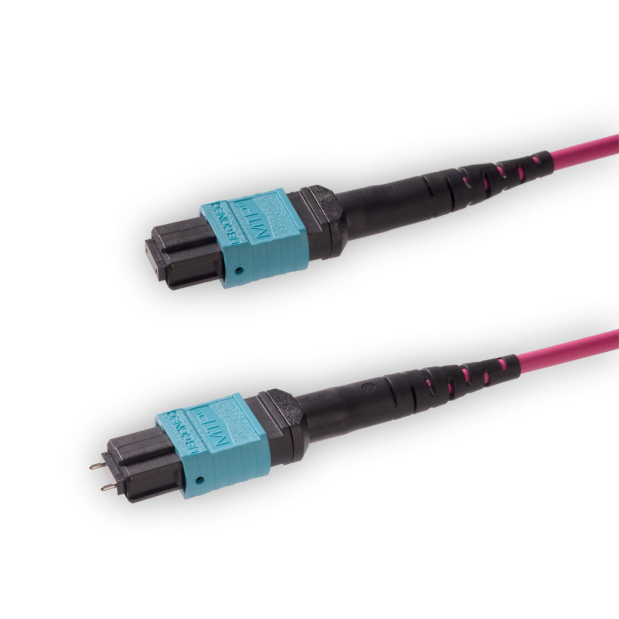 12 芯 Elite 公頭 MTP®/UPC 轉母頭 MTP®/UPC 跳線 | 康寧® ClearCurve® OM4 多模光纖 | 極性A，水綠色 MTP® 接頭，洋紅色外被 | OFNR 外被