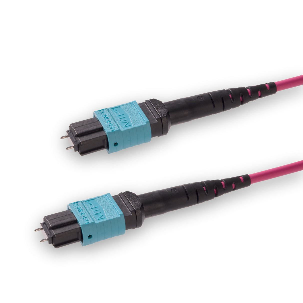 12 芯 Elite 公頭 MTP®/UPC 轉公頭 MTP®/UPC 跳線 | 康寧® ClearCurve® OM4 多模光纖 | 極性B，水綠色 MTP® 接頭，洋紅色外被 | LSZH 低煙無鹵外被