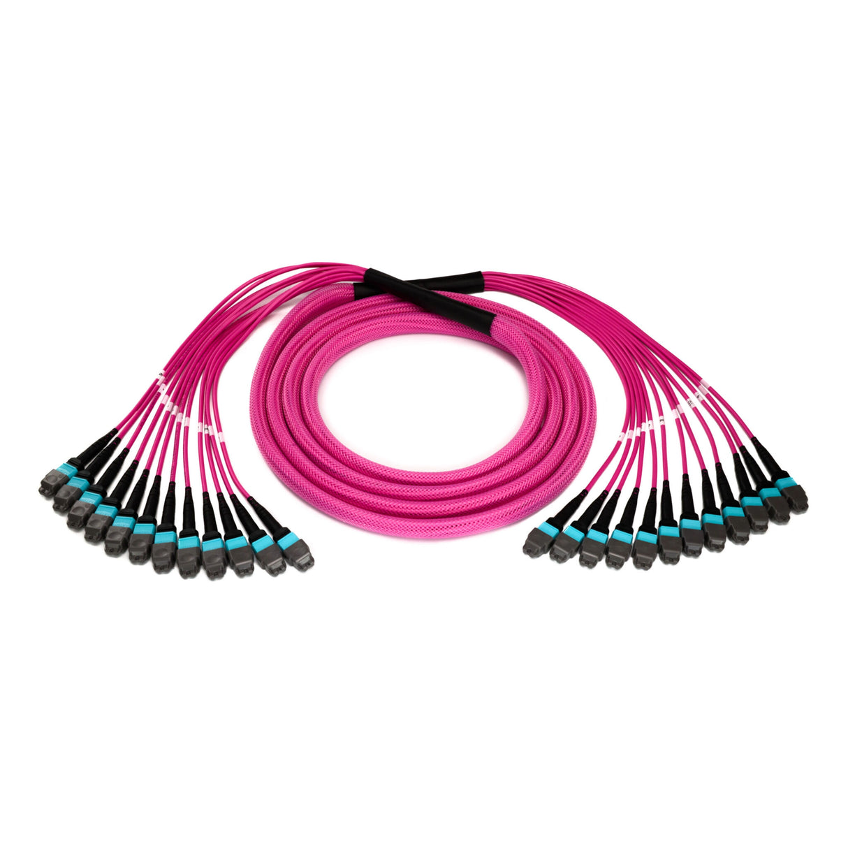 144-Fiber Elite Non-Pinned MTP® to MTP® Trunk Cable with Corning® ClearCurve® OM4 Multimode Fiber, Type B polarity, Magenta Jacket and Aqua Connectors on both ends