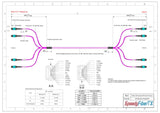 【博光通訊】 48 芯 Elite 母頭 MTP® 轉母頭 MTP® 主幹跳線 | 康寧® ClearCurve® OM4 多模光纖 | 極性B，水綠色 MTP® 接頭，洋紅色外被 | OFNR 外被