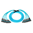 96-Fiber Elite Non-Pinned MTP® to MTP® Trunk Cable with Corning® ClearCurve® OM3 Multimode Fiber, Type B polarity, Aqua Jacket and Aqua Connectors on both ends