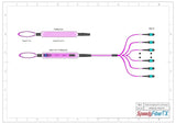 【博光通訊】 96 芯 Elite 母頭 MTP® 轉母頭 MTP® 主幹跳線 | 康寧® ClearCurve® OM4 多模光纖 | 極性B，水綠色 MTP® 接頭，洋紅色外被 | OFNR 外被