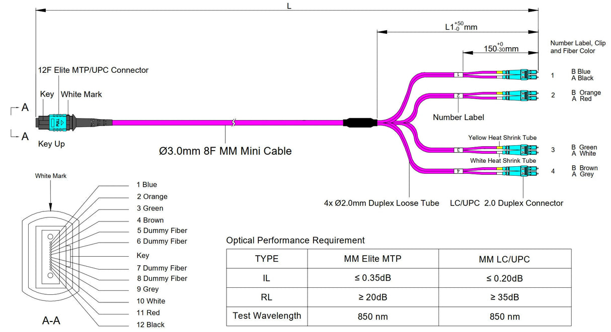 Elite Non-Pinned MTP® to 8xLC Breakout Cable | Corning® ClearCurve® OM4 Multimode Optical Fiber | Aqua MTP® Connector, Magenta Cable Jacket, Aqua LC Connectors | OFNP Jacket