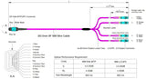 Elite Non-Pinned MTP® to 8xLC Breakout Cable | Corning® ClearCurve® OM4 Multimode Optical Fiber | Aqua MTP® Connector, Magenta Cable Jacket, Aqua LC Connectors | OFNP Jacket
