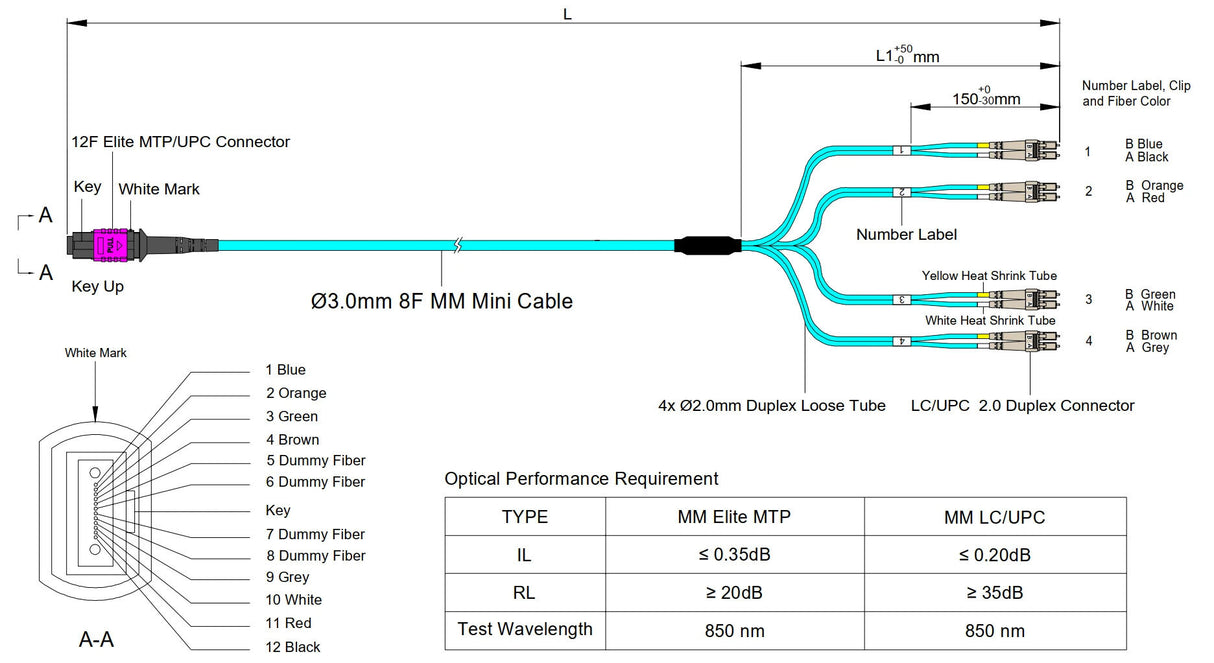 Elite Non-Pinned MTP® to 8xLC Breakout Cable | Corning® ClearCurve® OM4 Multimode Optical Fiber | Magenta MTP® Connector, Aqua Cable Jacket, Beige LC Connectors | OFNP Jacket