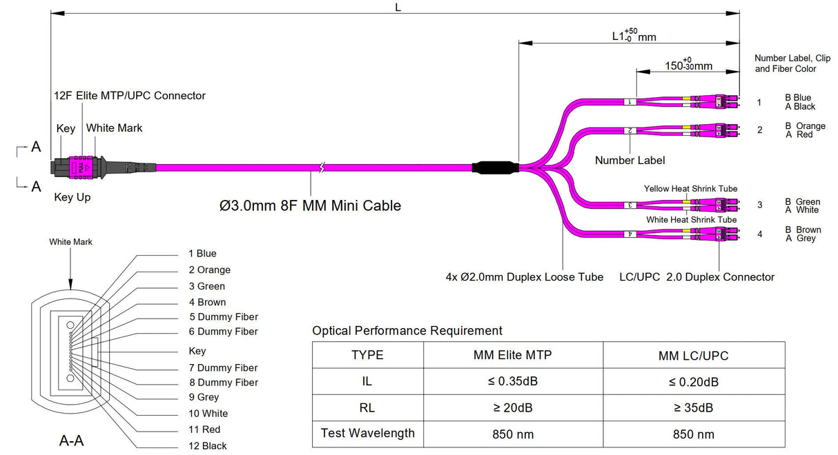 Elite Non-Pinned MTP® to 8xLC Breakout Cable | Corning® ClearCurve® OM4 Multimode Optical Fiber | Magenta MTP® Connector, Magenta Cable Jacket, Magenta LC Connectors | LSZH Jacket