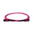 12-Fiber Elite Non-Pinned MTP® UPC to MTP® UPC Jumper with Corning® ClearCurve® OM4 Multimode Fiber, Type B polarity, Magenta MTP® connectors, and Magenta jacket, optimized for 40GBASE-SR4 and 100GBASE-SR4 multimode parallel optics in high-density data centers.