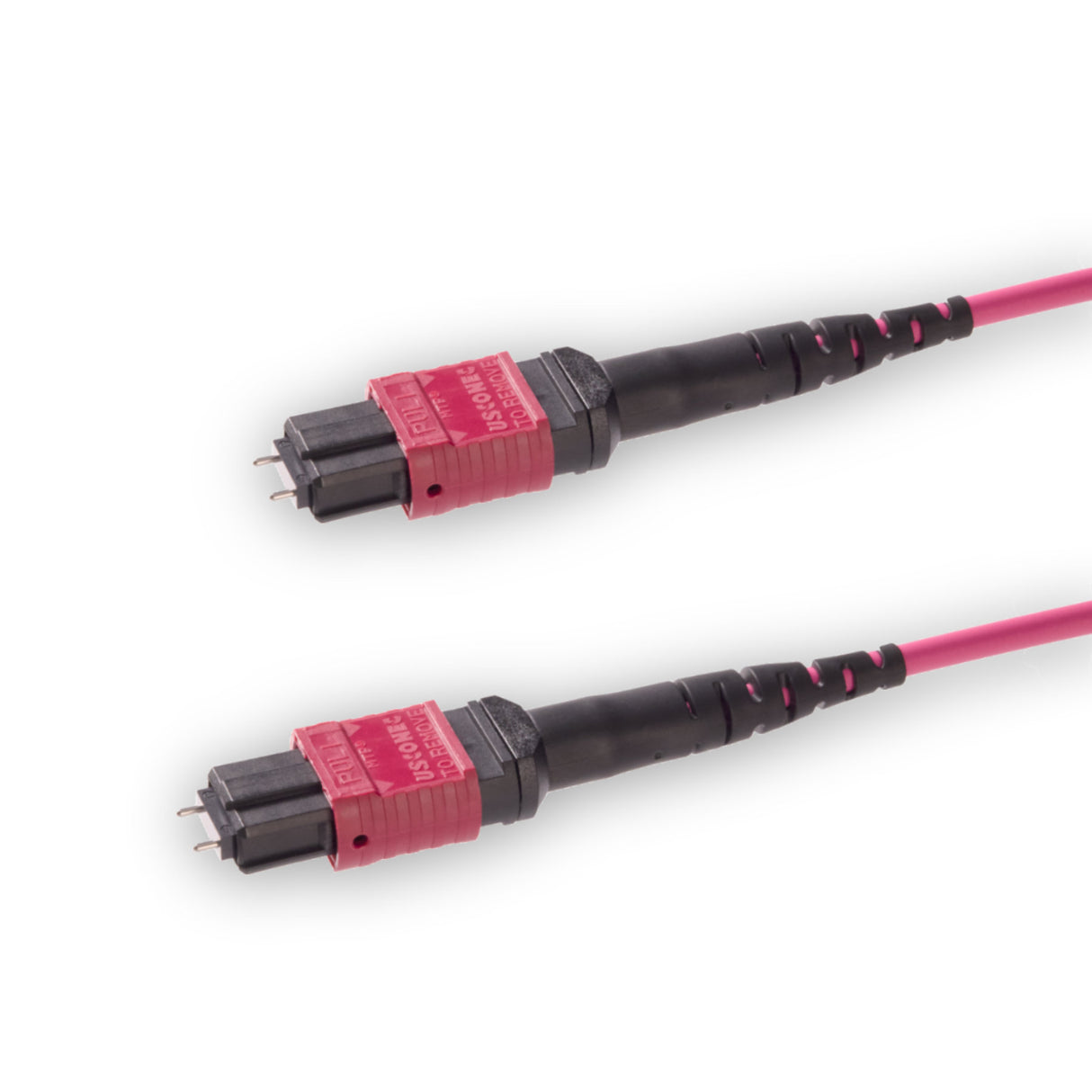 12 芯 Elite 公頭 MTP®/UPC 轉公頭 MTP®/UPC 跳線 | 康寧® ClearCurve® OM4 多模光纖 | 極性B，洋紅色 MTP® 接頭，洋紅色外被 | OFNR 外被