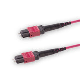 12 芯 Elite 公頭 MTP®/UPC 轉公頭 MTP®/UPC 跳線 | 康寧® ClearCurve® OM4 多模光纖 | 極性B，洋紅色 MTP® 接頭，洋紅色外被 | OFNR 外被