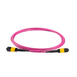 8 芯 Elite 母頭 MTP®/APC 轉母頭 MTP®/APC 跳線 | 康寧® ClearCurve® OM4 多模光纖 | 極性B，黃色 MTP®-12 接頭，洋紅色外被 | LSZH 低煙無鹵外被