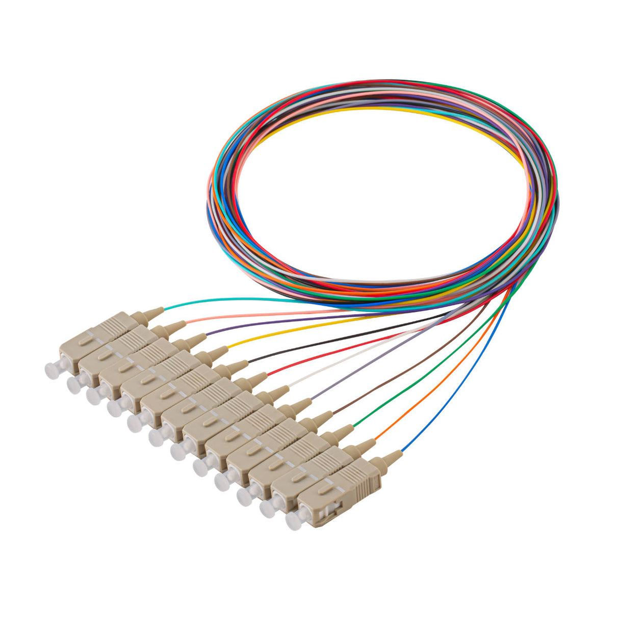 Bundle Deal – SpeedyFiberTX SC 12-Fiber 900µm OM4 Fiber Optic Pigtail | Corning ClearCurve | Multimode | 2m | 5-Pack / 10-Pack