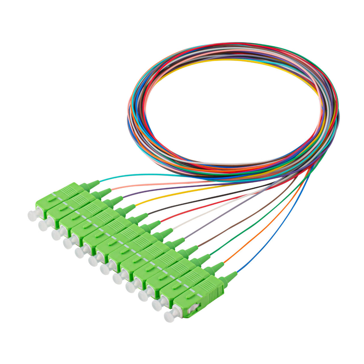 Bundle Deal – SpeedyFiberTX SC/APC 12-Fiber 900µm Fiber Optic Pigtail | Corning SMF-28 Ultra Fiber | OS1/OS2 Compatible | Single-mode |  1m | 5-Pack / 10-Pack