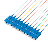 SpeedyFiberTX SC/UPC 12-Fiber 900µm Fiber Optic Pigtail | Corning SMF-28 Ultra Fiber | OS1/OS2 Compatible | Single-mode